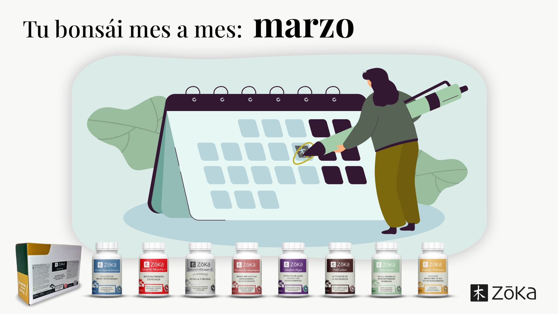 Tu bonsái, mes a mes- Marzo | Todo lo que tienes que saber
