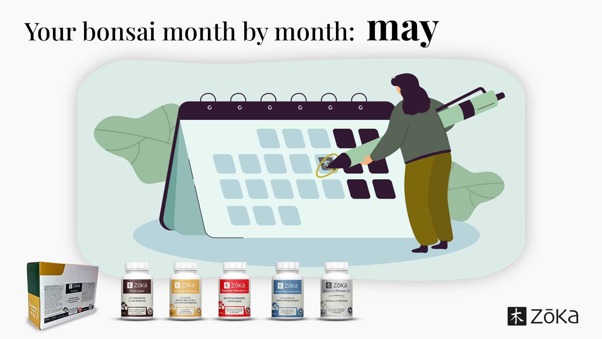 Your Bonsai, Month by Month – MAY | Everything You Need to Know