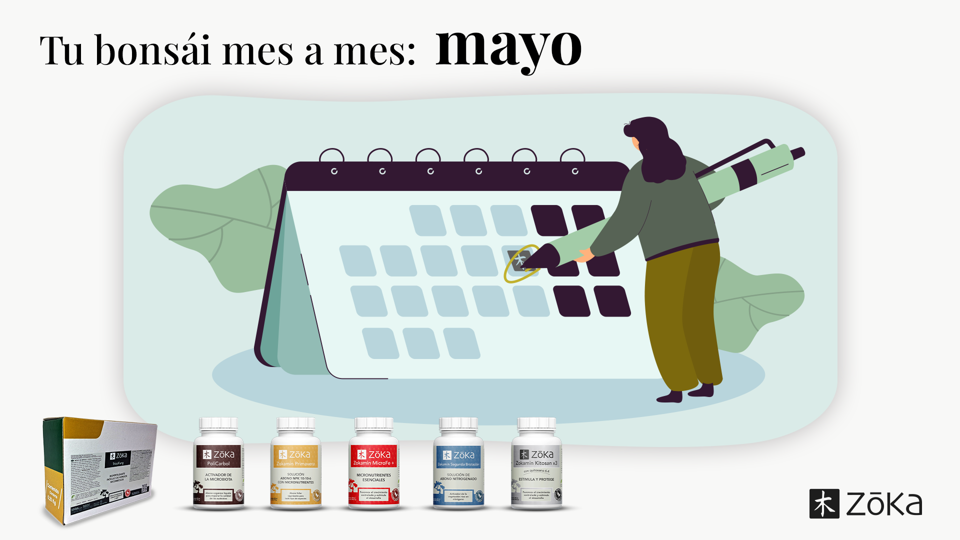 Tu bonsái, mes a mes – Mayo | Todo lo que tienes que saber