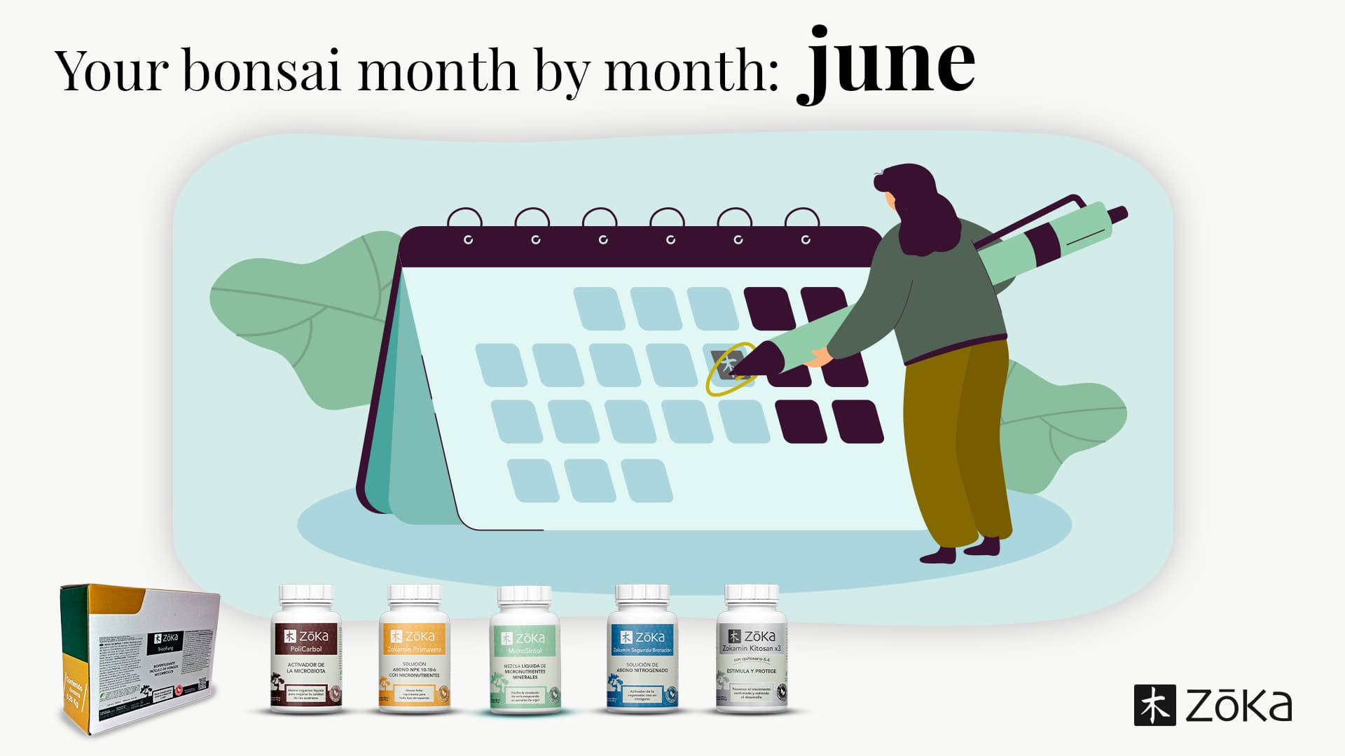 Your Bonsai, Month by Month – JUNE | Everything You Need to Know