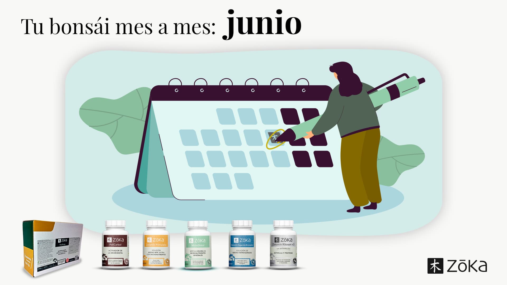 Tu bonsái, mes a mes- JUNIO | Todo lo que tienes que saber