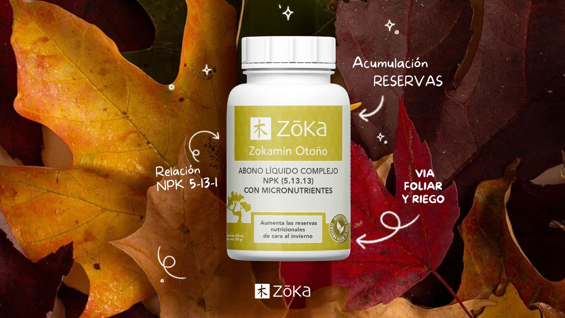 Cuidados imprescindibles para tu bonsái en otoño: ¡Que no te falte Zokamin Otoño!