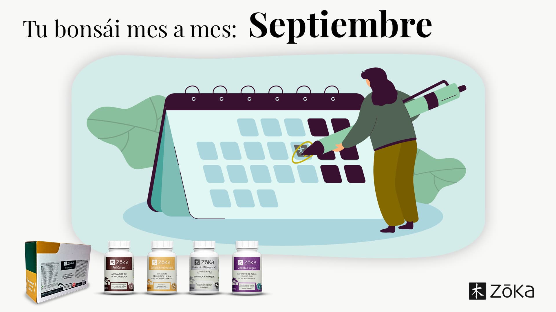Cuida tu bonsái mes a mes: ¿qué necesita tu bonsái en septiembre?