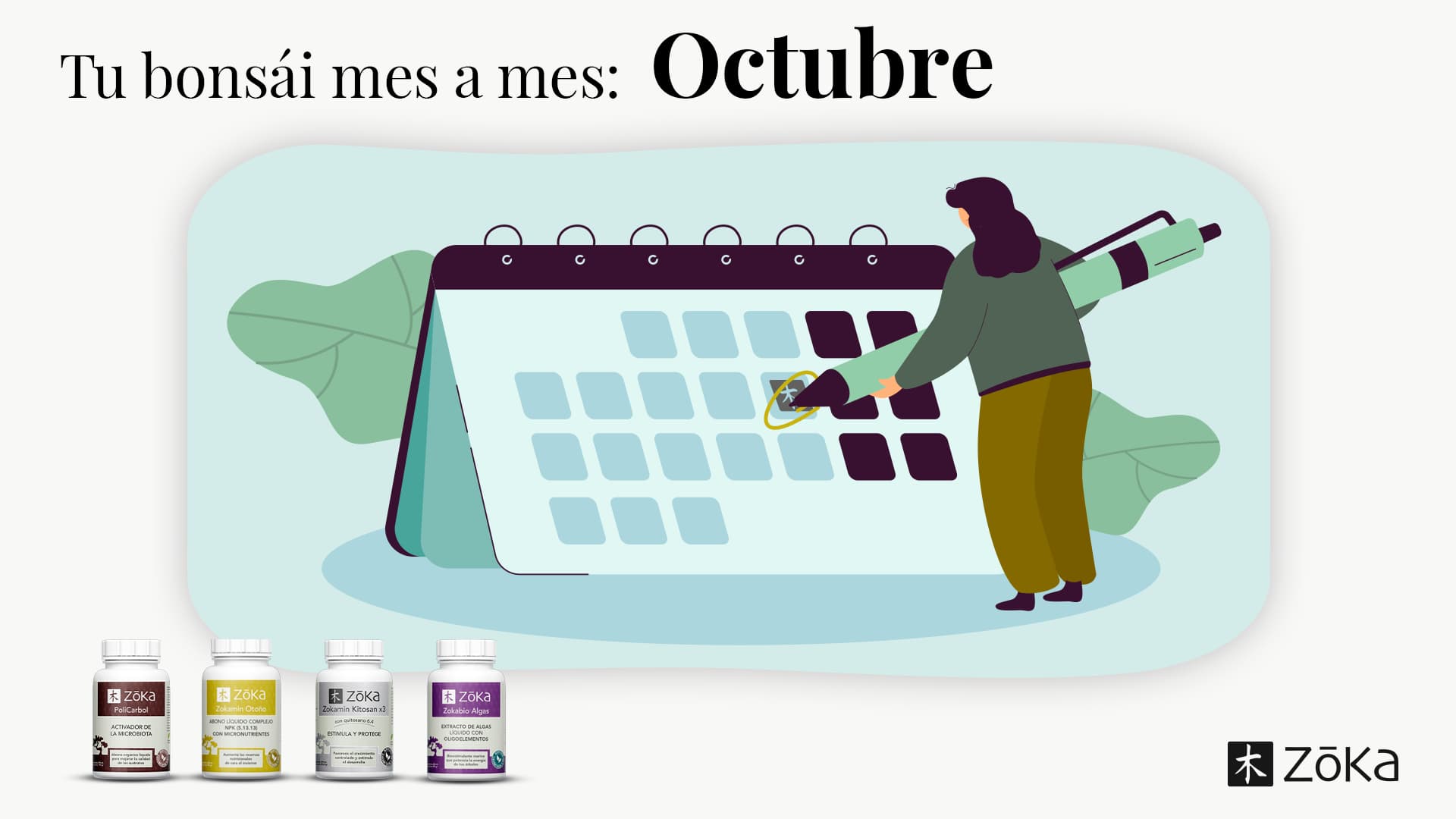Tu bonsái, mes a mes – OCTUBRE | Todo lo que tienes que saber