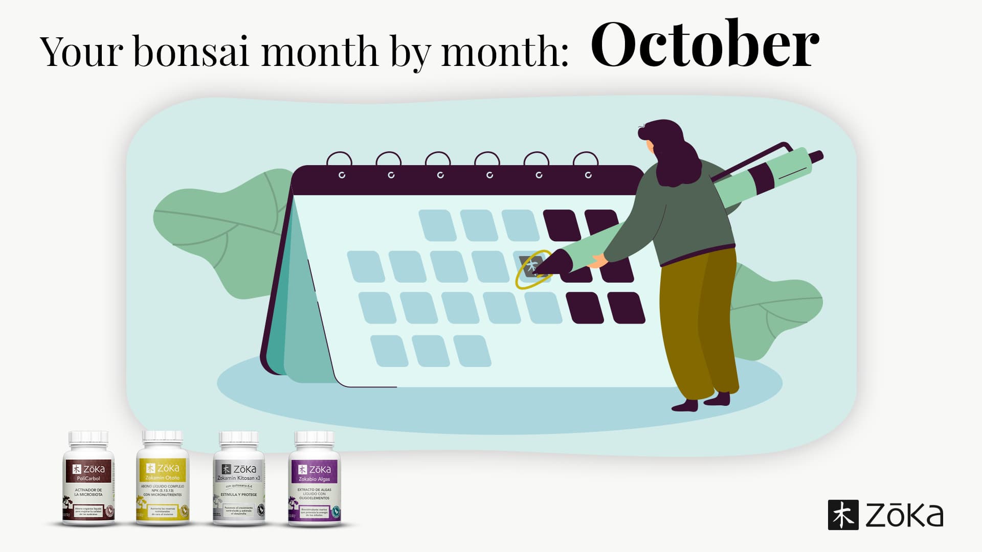 Your Bonsai, Month by Month – OCTOBER | Everything You Need to Know